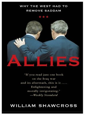 Allies - ebook